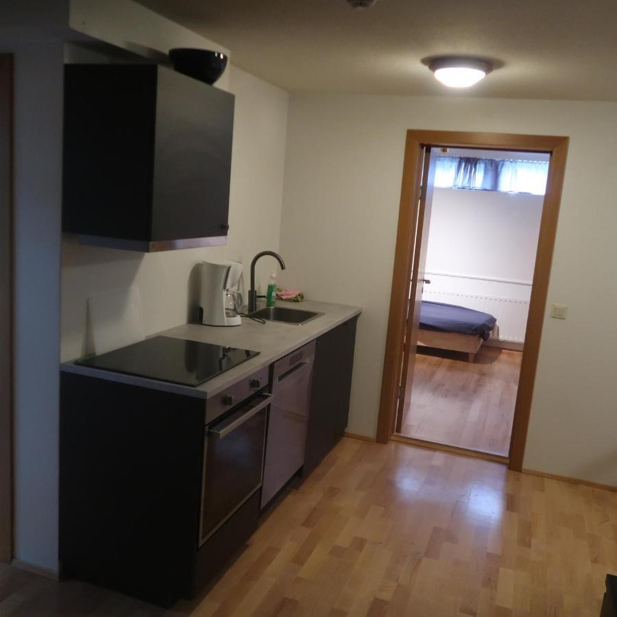 Large Apartment Close To The Centre ريكيافيك المظهر الخارجي الصورة